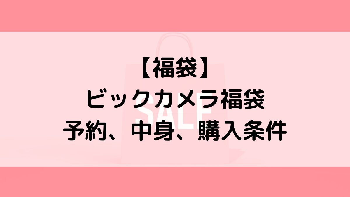 ビックカメラ福袋2024予約いつから？中身ネタバレ、購入条件