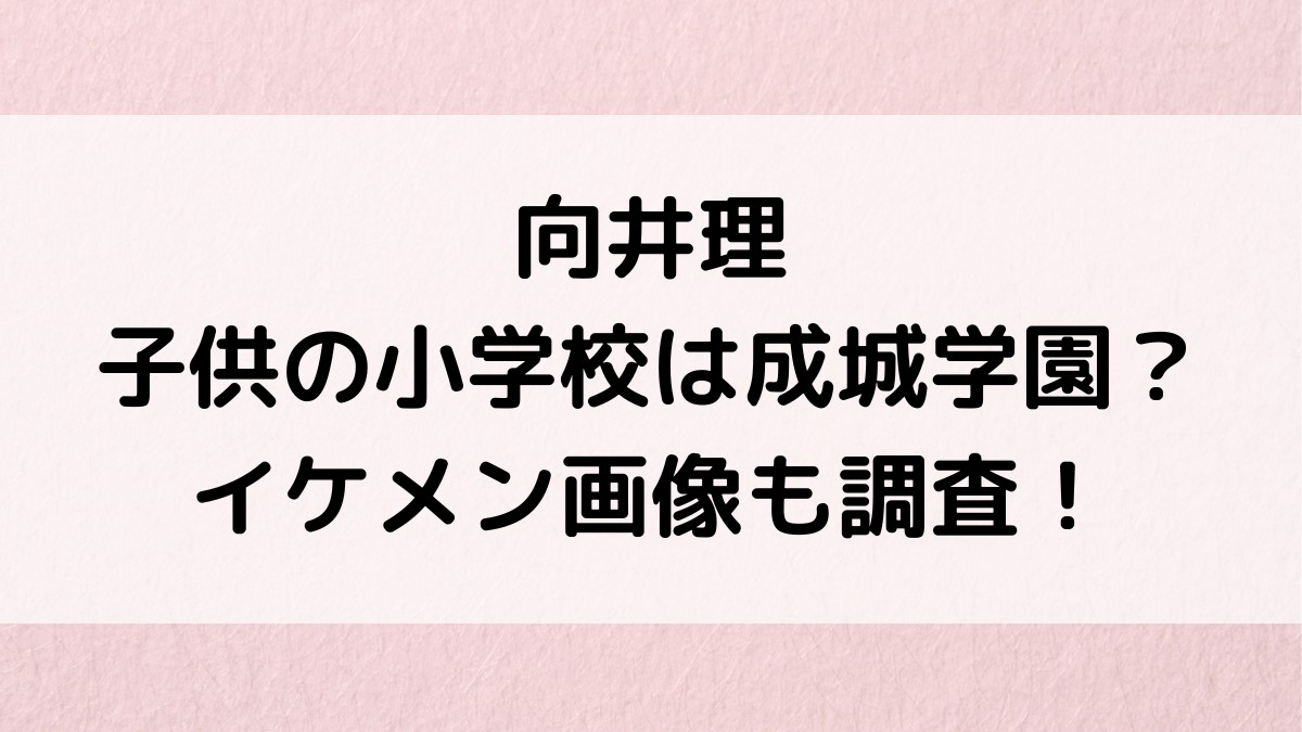 向井理の子供の小学校が成城学園と噂される理由!イケメン画像でパパ似?性別、名前、幼稚園も調査!